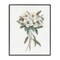 Stupell Industries White Wildflower Bundle Framed Giclee Design by Sally Swatland